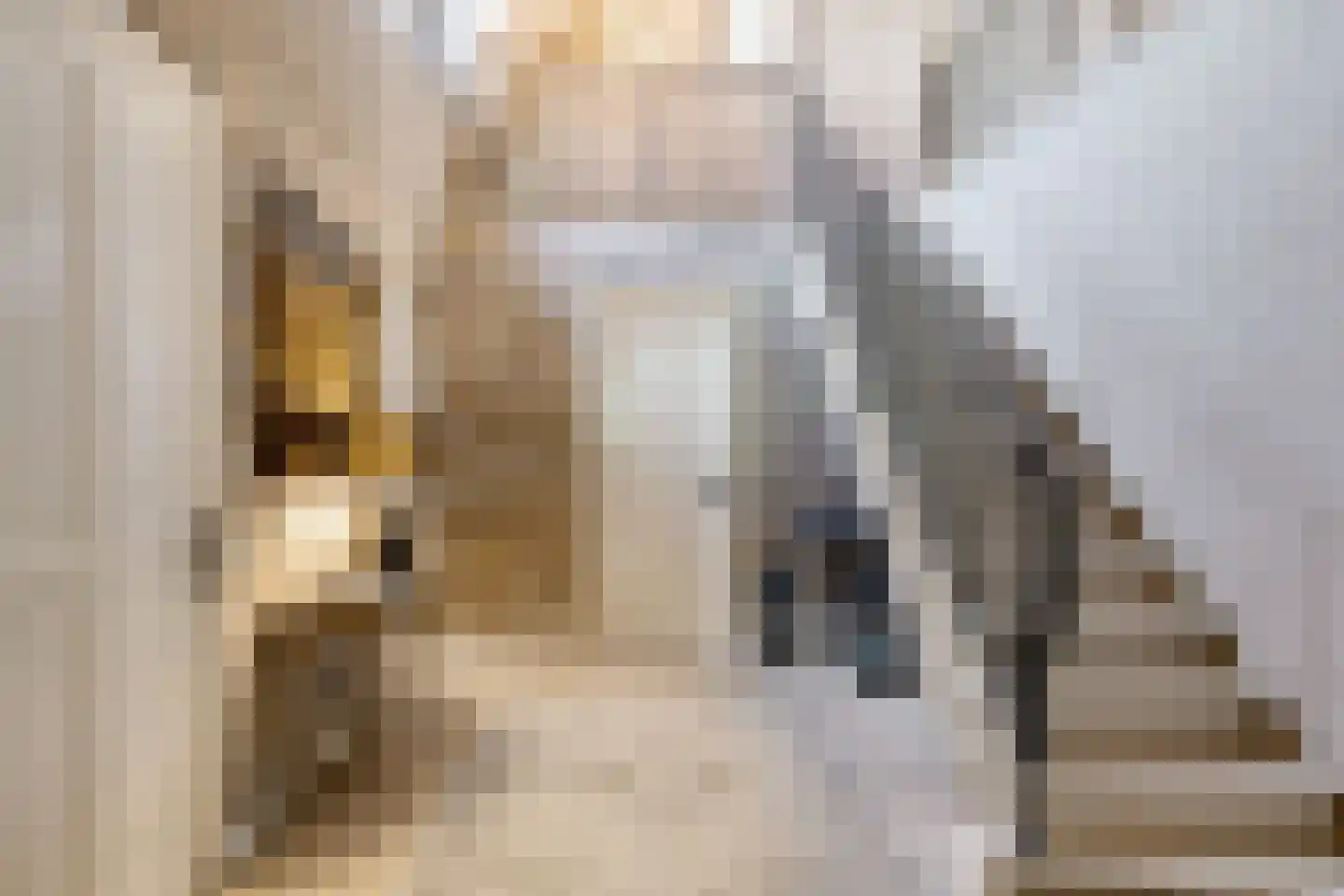 Bark 9 Nieuw-Amsterdam thumbnail 8