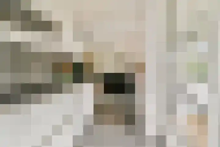 Barkasstraat 9 Amsterdam thumbnail 7