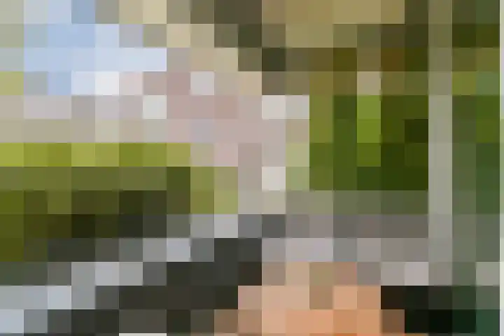 Barkasstraat 9 Amsterdam thumbnail 9