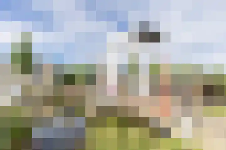 Barkmolenstraat 120 Groningen thumbnail 26