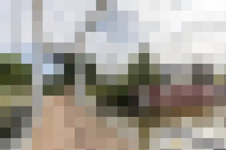 Barkmolenstraat 120 Groningen thumbnail 27