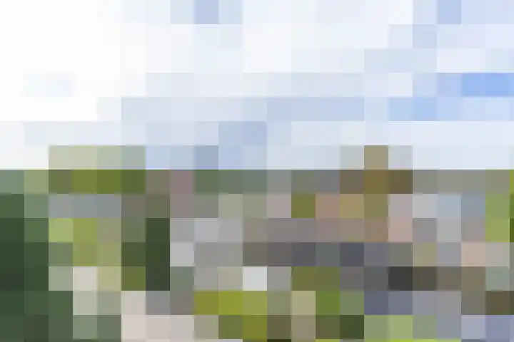 Barkmolenstraat 120 Groningen thumbnail 4