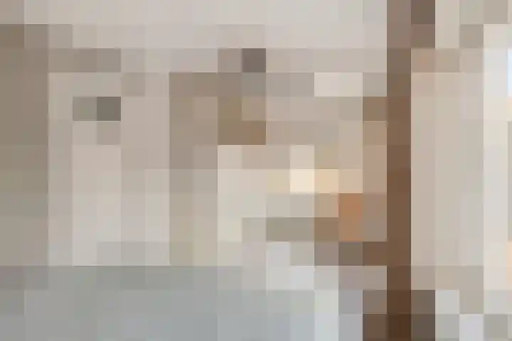Barkstraat 1 Tilburg thumbnail 29
