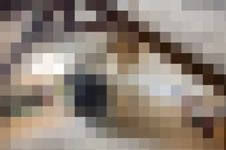 Barkstraat 1 Tilburg thumbnail 40