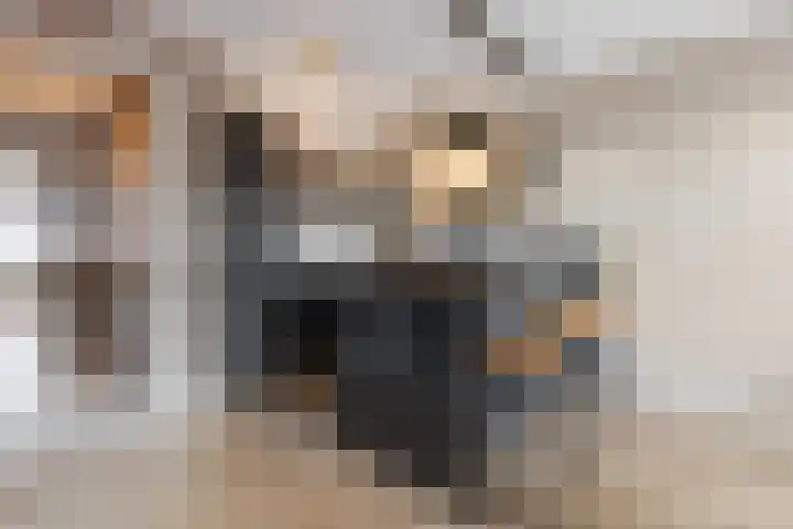 Barkstraat 2 Tilburg thumbnail 21