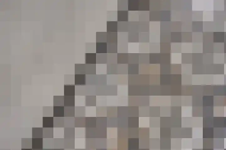 Barkstraat 2 Tilburg thumbnail 5