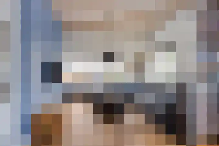 Barkstraat 2 Tilburg thumbnail 7