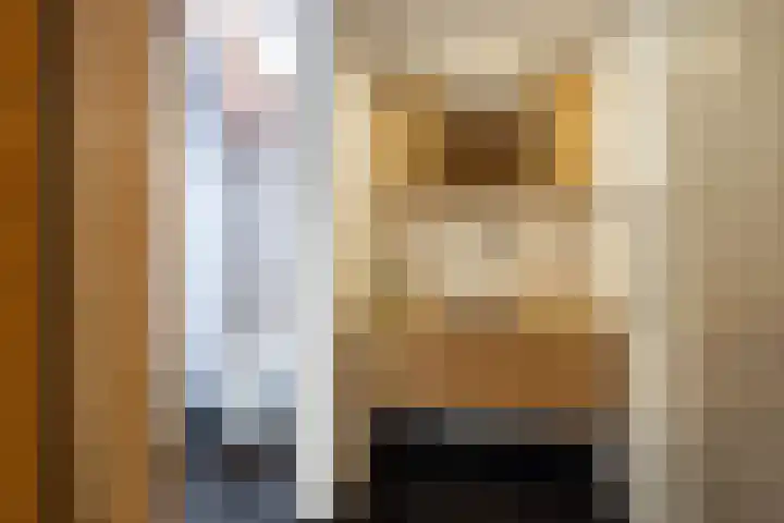 Barkwerf 8 Zoetermeer thumbnail 12