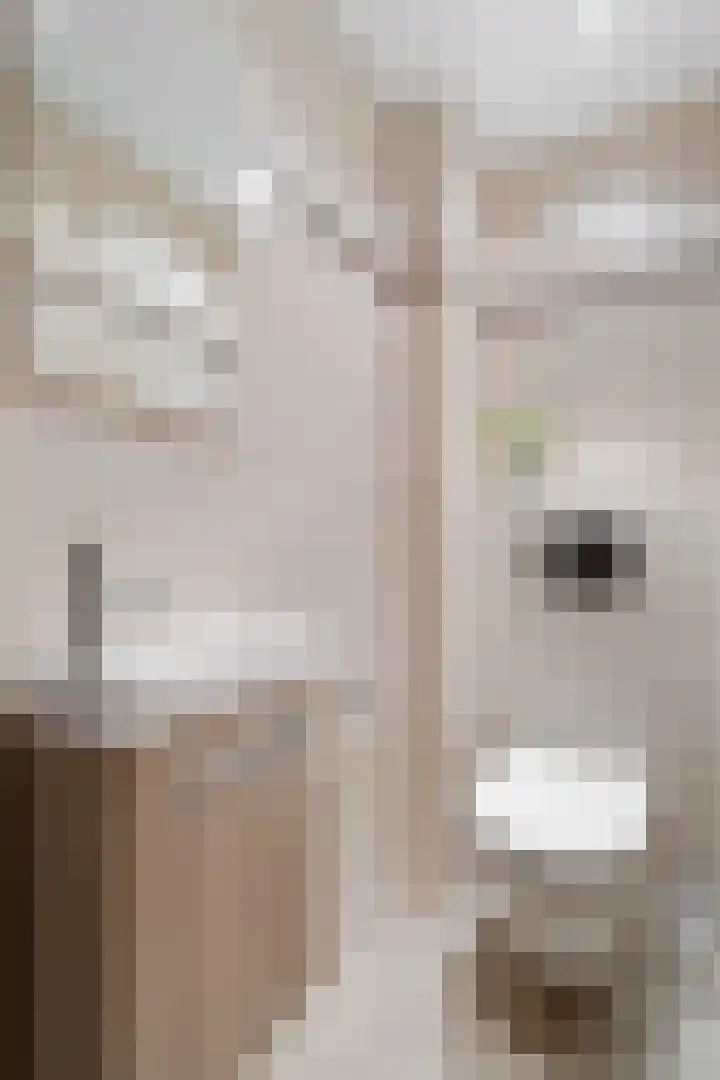 Barkwerf 8 Zoetermeer thumbnail 14
