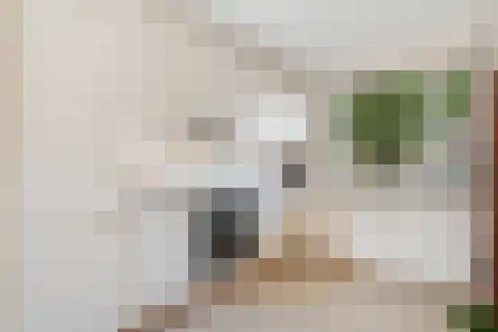 Barkwerf 8 Zoetermeer thumbnail 21