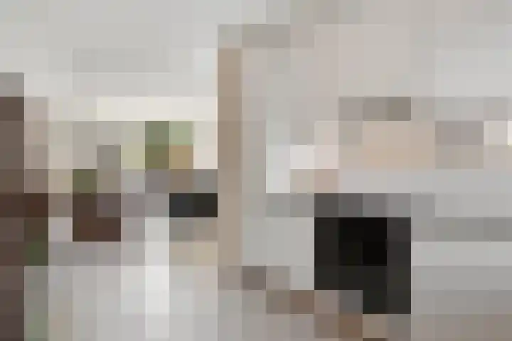 Barkwerf 8 Zoetermeer thumbnail 22