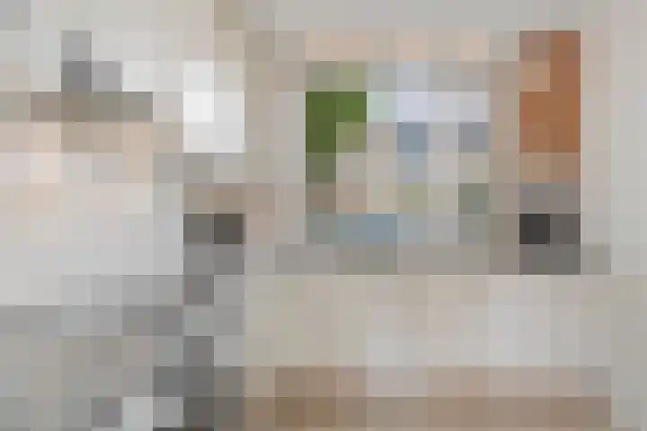Barkwerf 8 Zoetermeer thumbnail 23