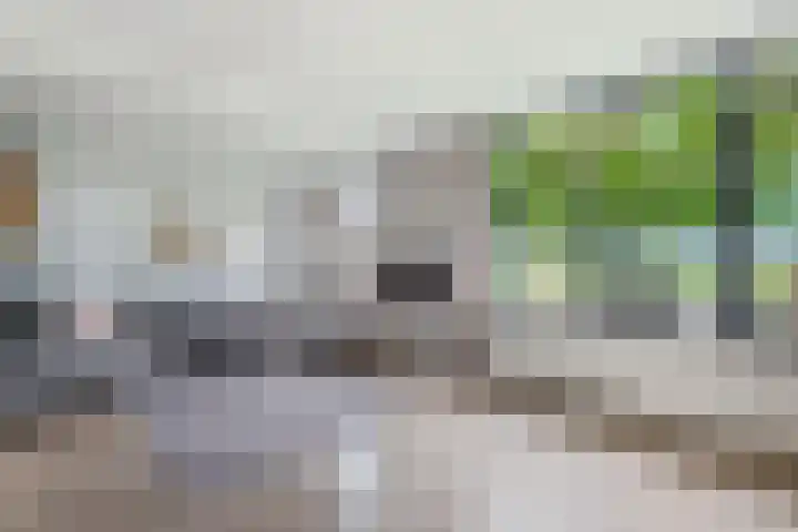Barkwerf 8 Zoetermeer thumbnail 24