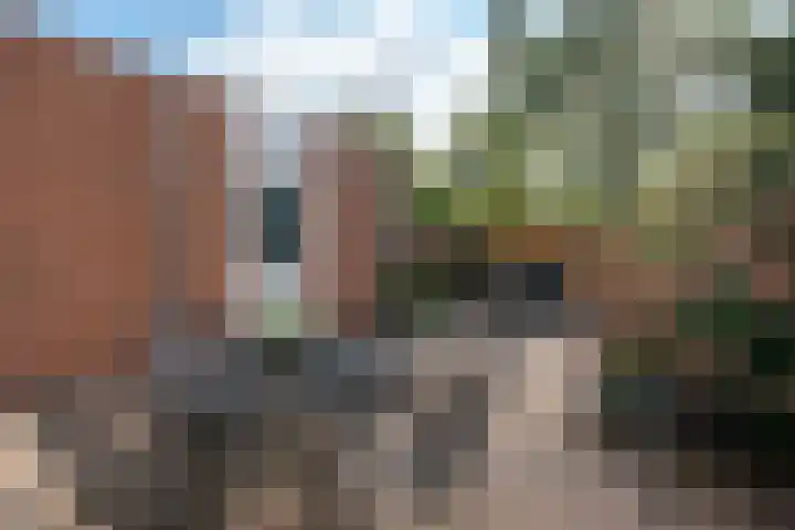 Barkwerf 8 Zoetermeer thumbnail 26