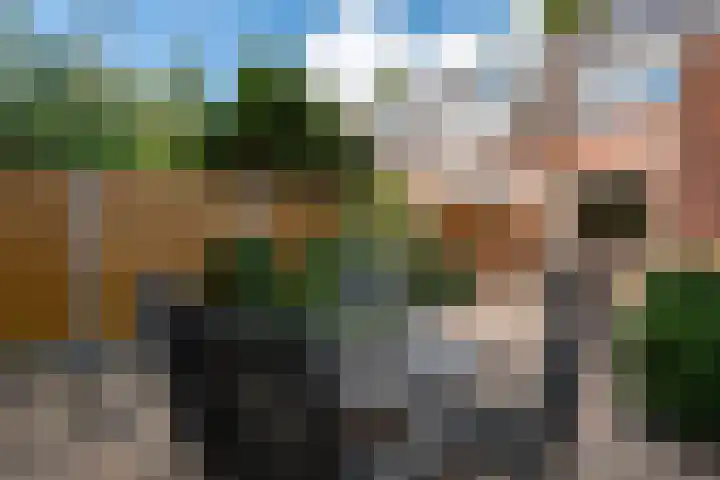 Barkwerf 8 Zoetermeer thumbnail 30