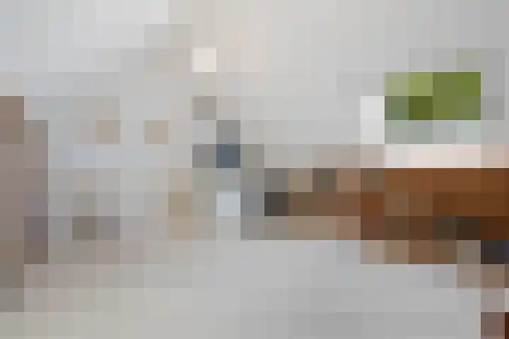 Barkwerf 8 Zoetermeer thumbnail 31