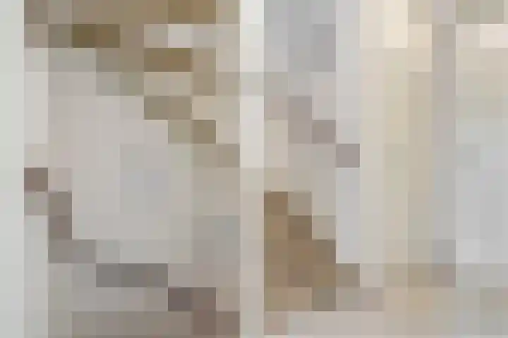 Barkwerf 8 Zoetermeer thumbnail 35