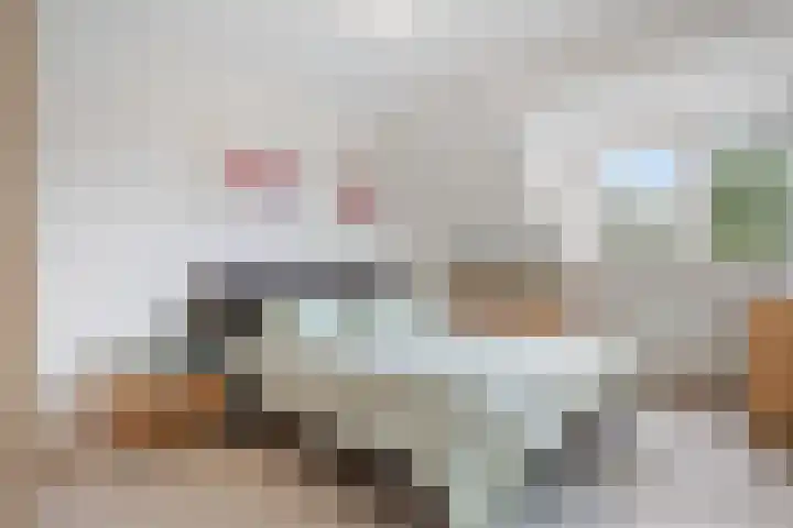Barkwerf 8 Zoetermeer thumbnail 4
