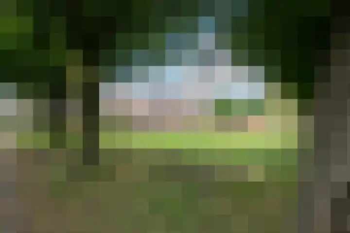 Barkwerf 8 Zoetermeer thumbnail 45
