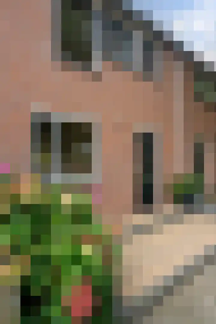 Barkwerf 8 Zoetermeer thumbnail 9