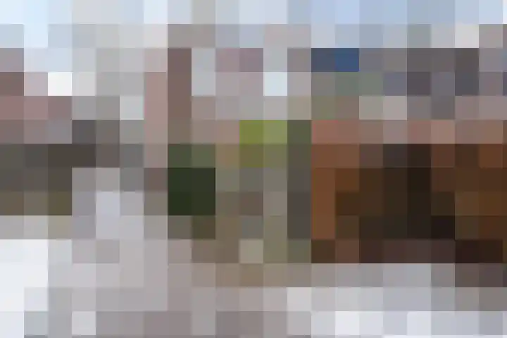 Barmaheerd 70 Groningen