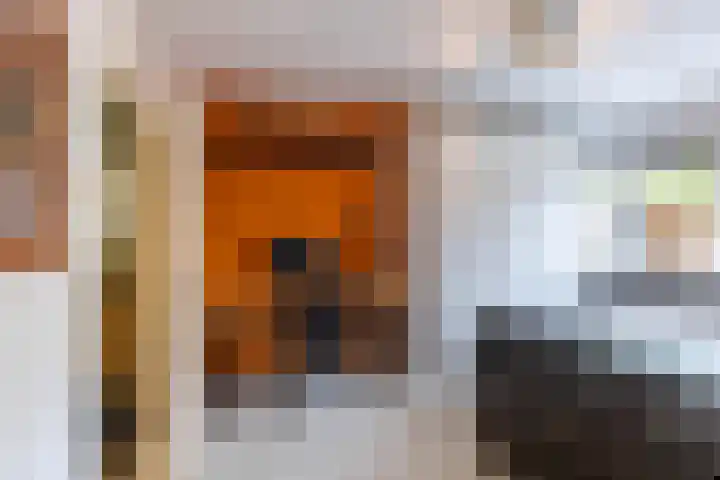 Barmaheerd 9 Groningen thumbnail 10