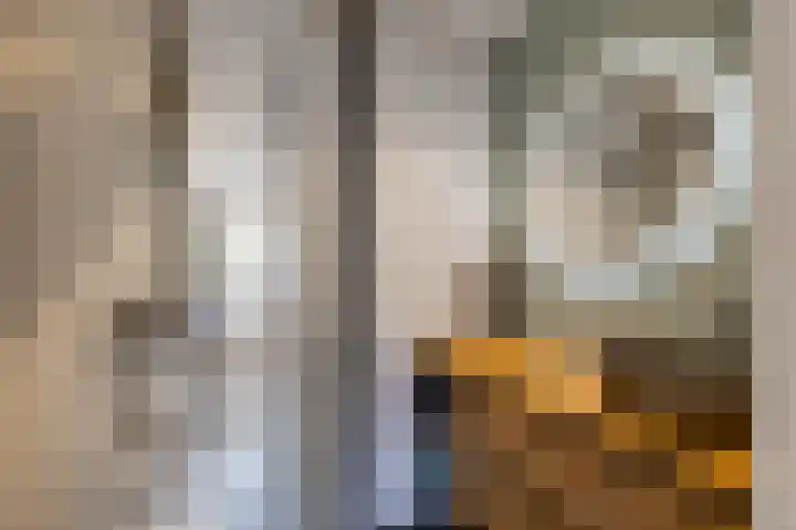 Barmaheerd 9 Groningen thumbnail 12