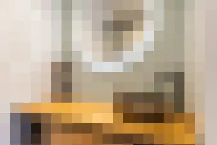 Barmaheerd 9 Groningen thumbnail 13