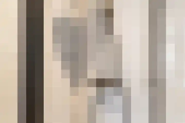 Barmaheerd 9 Groningen thumbnail 14