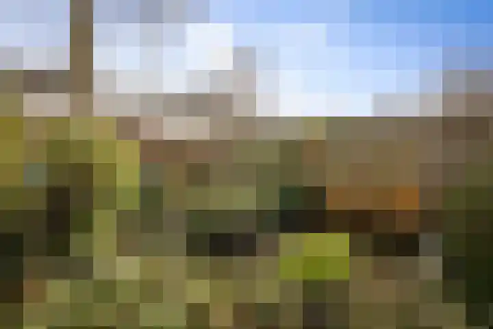 Barmaheerd 9 Groningen thumbnail 16