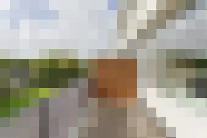 Barmaheerd 9 Groningen thumbnail 18