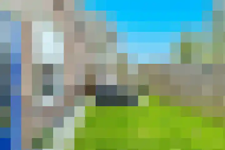 Barmaheerd 9 Groningen thumbnail 19