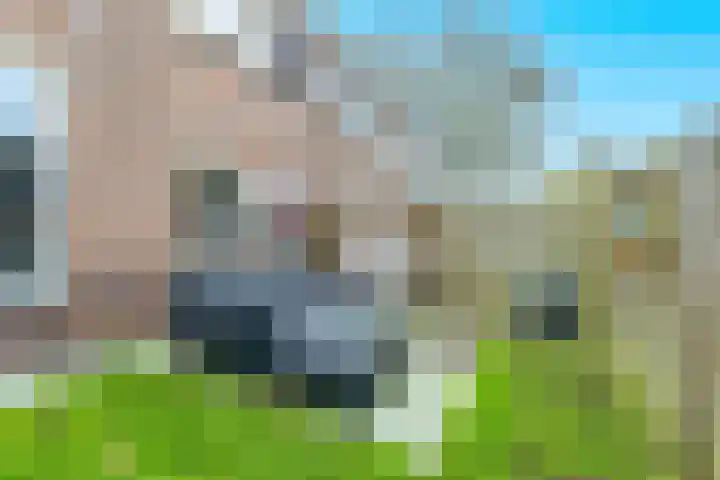 Barmaheerd 9 Groningen thumbnail 20