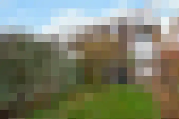 Barmaheerd 9 Groningen thumbnail 21