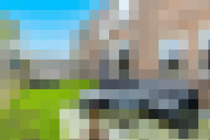 Barmaheerd 9 Groningen thumbnail 21