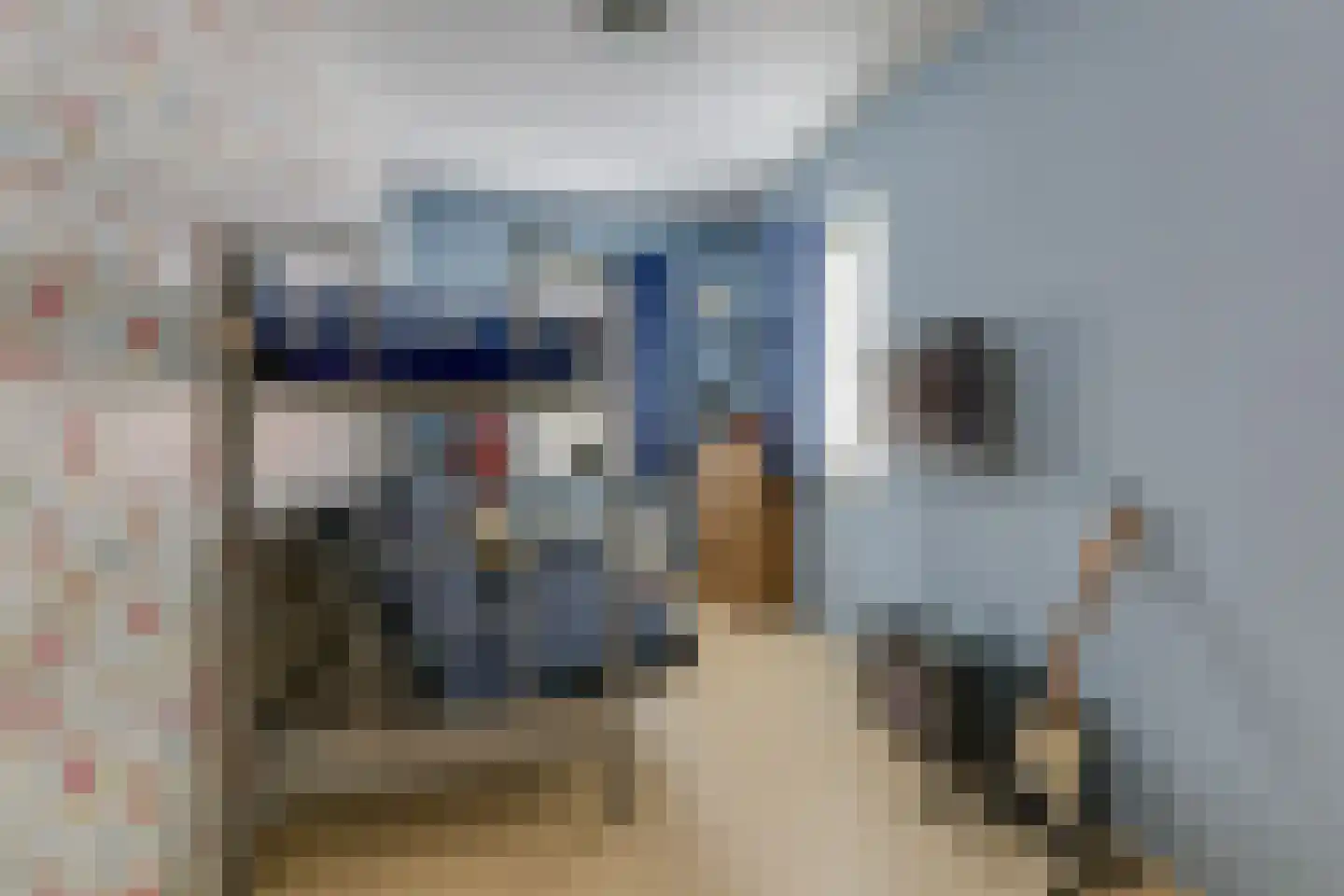 Barmaheerd 9 Groningen thumbnail 24