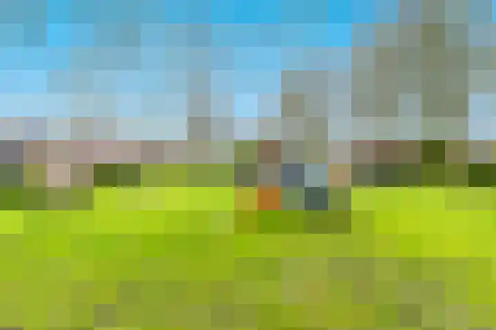 Barmaheerd 9 Groningen thumbnail 26