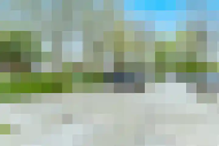 Barmaheerd 9 Groningen thumbnail 28
