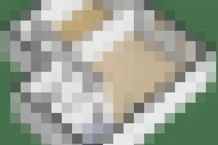 Barmaheerd 9 Groningen thumbnail 31