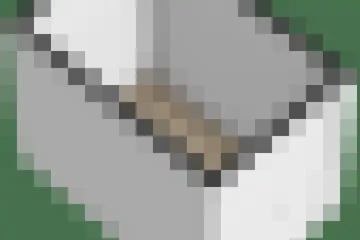 Barmaheerd 9 Groningen thumbnail 32