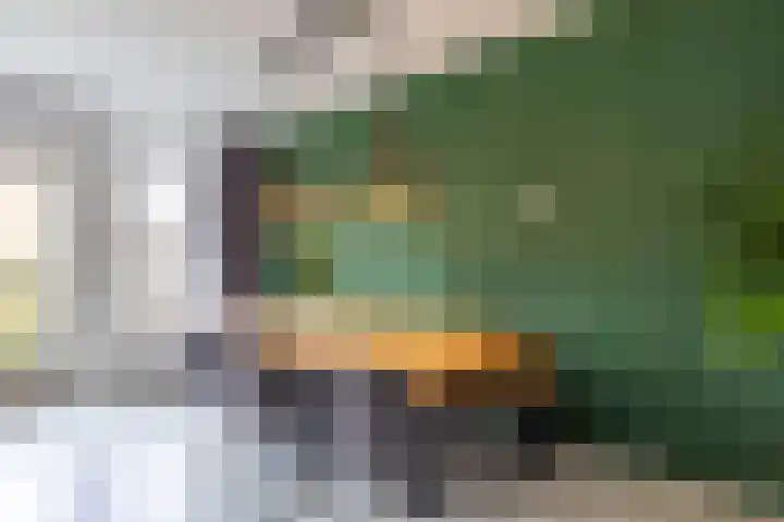 Barmaheerd 9 Groningen thumbnail 4