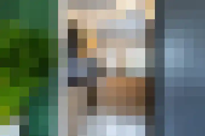 Barmaheerd 9 Groningen thumbnail 6