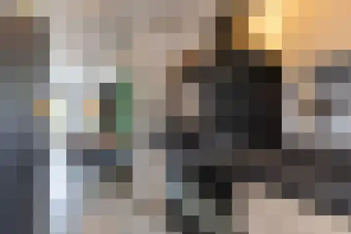 Barmaheerd 9 Groningen thumbnail 8