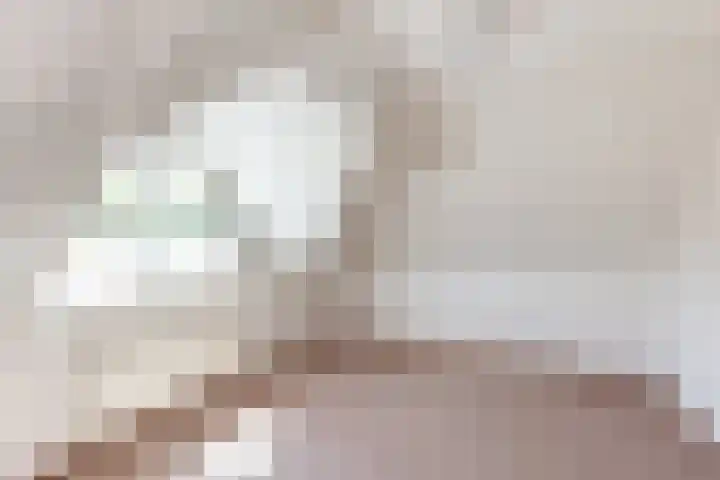 Barmentloo 38 a Neede thumbnail 22