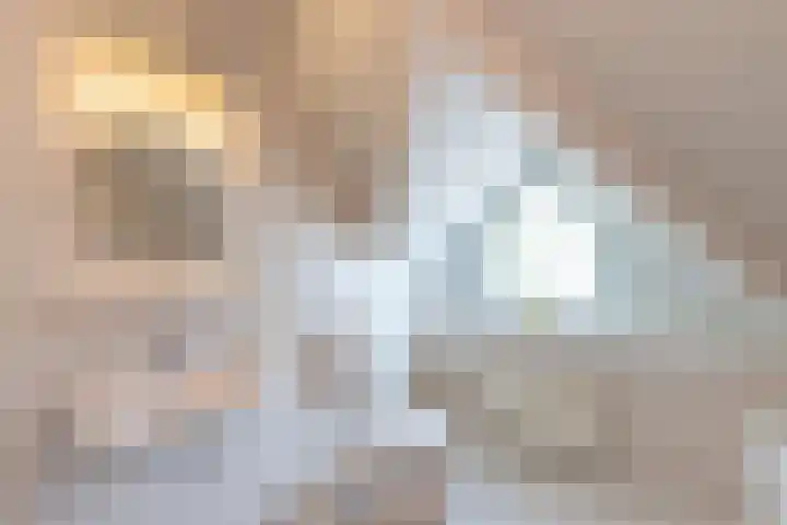 Barmentloo 38 a Neede thumbnail 25