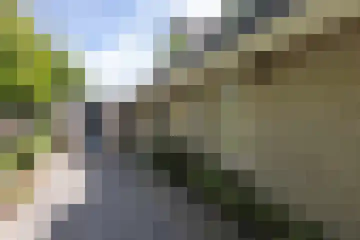 Barmentloo 38 a Neede thumbnail 27