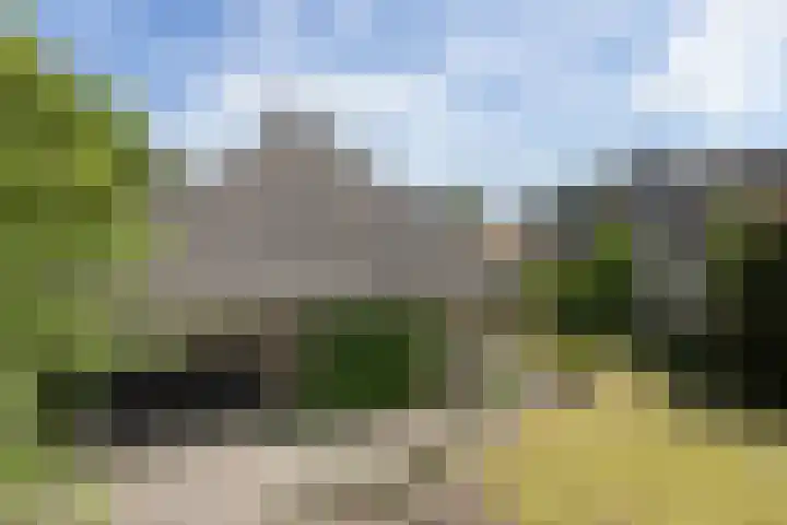 Barmentloo 38 a Neede thumbnail 28