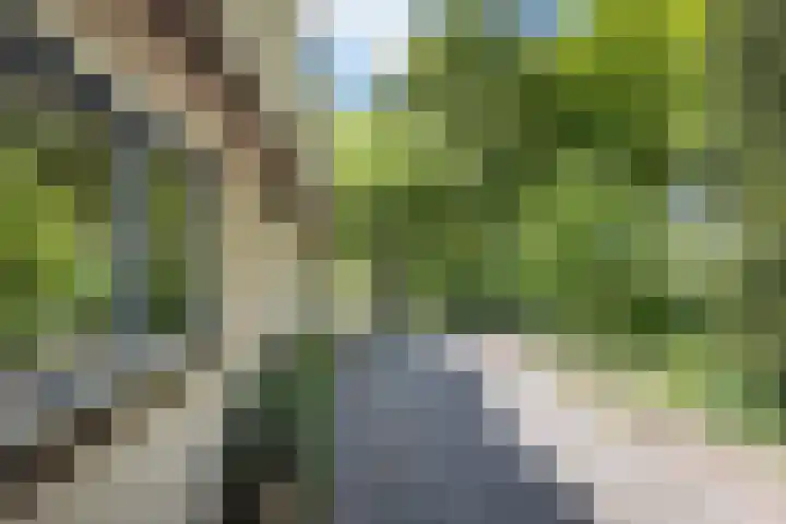 Barmentloo 38 a Neede thumbnail 32