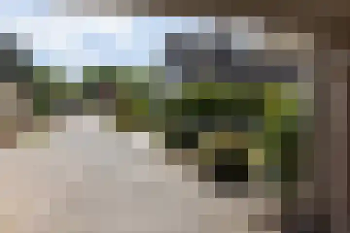 Barmentloo 38 a Neede thumbnail 34