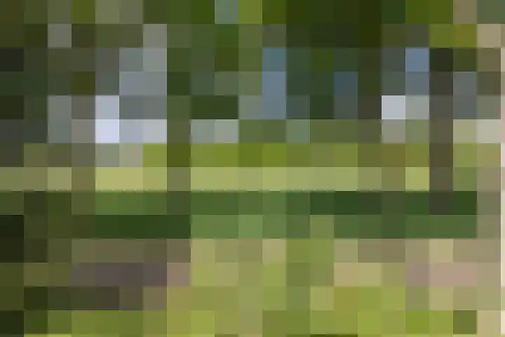 Barmentloo 38 a Neede thumbnail 35